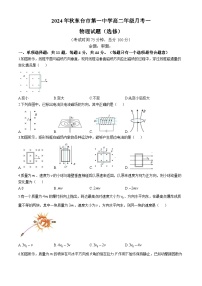 江苏省东台市第一中学2024-2025学年高二上学期10月月考物理试题(无答案)