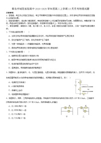 山东省青岛市城阳区实验高级中学2024-2025学年高二上学期10月月考物理试题