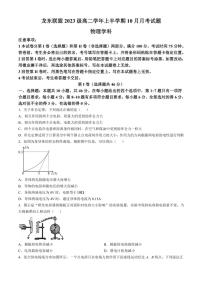 [物理]黑龙江省龙东联盟2024～2025学年高二上学期10月月考试卷(有答案)