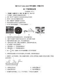 宁夏银川市第九中学2024-2025学年高一上学期月考物理试卷(无答案)