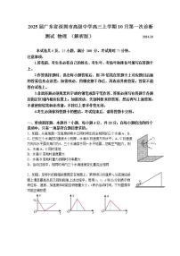 2025届广东省深圳市高级中学高三上学期10月第一次诊断测试 物理 （解析版）