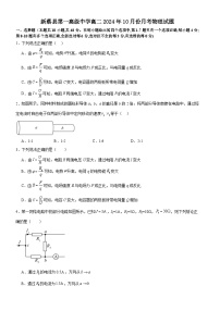 河南省驻马店市新蔡县第一高级中学2024-2025学年高二上学期10月月考物理试题