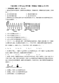 浙江省宁波市第三中学2024-2025学年高二上学期10月月考物理试卷(无答案)