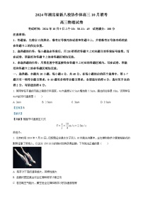 湖北省新八校协作体2025届高三上学期10月联考物理试题（Word版附解析）