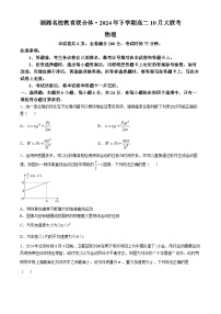 湖南省湖湘名校教育联合体2024-2025学年高二上学期10月大联考物理试题（Word版附解析）