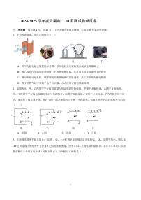 四川省成都市第七中学2024-2025学年高二上学期10月月考物理试卷