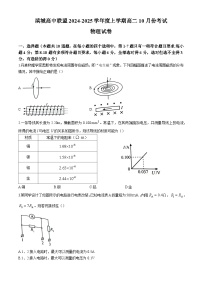 辽宁省大连市大连滨城联盟2024-2025学年高二上学期10月月考物理试题