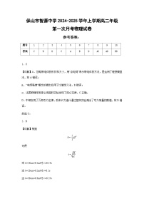 云南省保山市智源高级中学2024-2025学年高二上学期10月月考物理试题