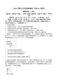 湖北省云学部分重点高中2024-2025学年高二上学期10月月考物理试题(无答案)