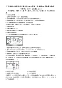 江苏省梅村高级中学空港校区2024-2025学年高二上学期10月检测物理试题(无答案)