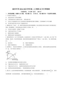 [物理]江苏省泰州中学2024～2025学年高二上学期10月月考试题(有答案)