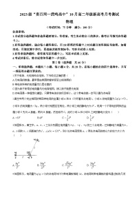 广西壮族自治区河池市2024-2025学年高二上学期10月月考物理试题