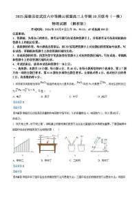 2025届湖北省武汉六中等腾云联盟高三上学期10月联考（一模）物理试题 （解析版）