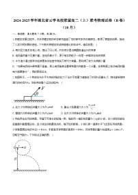 湖北省云学部分重点高中2024-2025学年高二上学期10月月考物理试题(B)