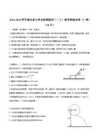 湖北省云学部分重点高中2024-2025学年高二上学期10月月考物理试题(C)