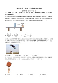 海南省海口市某校2024-2025学年高二上学期10 月月考物理试题