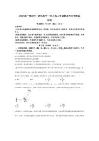 [物理]广西壮族自治区河池市2024～2025学年高二上学期10月月考试题(有解析)