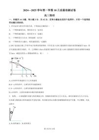 北京市清华大学附属中学2024-2025学年高三上学期10月质量检测物理试卷（附参考答案）