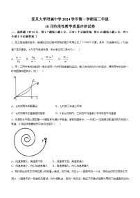 上海市复旦大学附属中学2024-2025学年高三上学期10月阶段性教学质量评估物理试卷