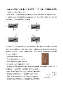 2024-2025学年广东省肇庆市端州区高三（上）第一次检测物理试卷（含答案）