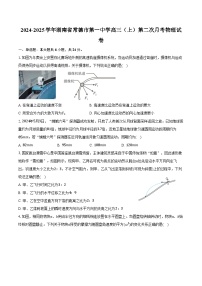 2024-2025学年湖南省常德市第一中学高三（上）第二次月考物理试卷（含解析）