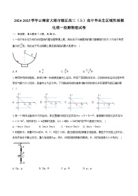 2024-2025学年云南省大理市辖区高三（上）高中毕业生区域性规模化统一检测物理试卷（含解析）