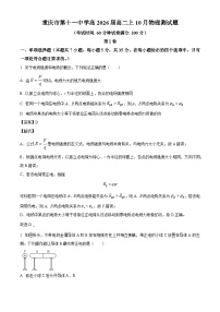 重庆市第十一中学2024-2025学年高二上学期10月月考物理试卷（解析版）