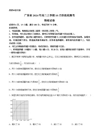 广东省河源市2024-2025学年高二上学期10月月考物理试题