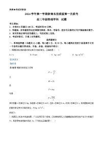 浙江省杭州市浙南联盟2024-2025学年高三上学期10月联考物理试题（Word版附解析）