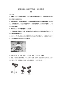 [物理][物理]安徽省2024-2025学年高一上学期10月联考试卷(解析版)