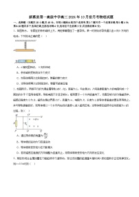 河南省驻马店市新蔡县新蔡县第一高级中学2024-2025学年高三上学期10月月考物理试题