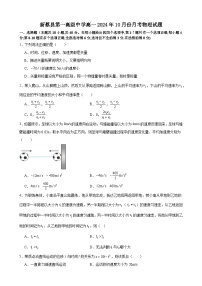 河南省驻马店市新蔡县第一高级中学2024-2025学年高一上学期10月月考物理试题