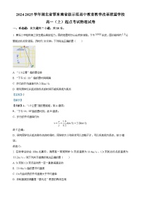 湖北省鄂东南省级示范高中教育教学改革联盟学校2024-2025学年高一上学期起点考试物理试题（Word版附解析）