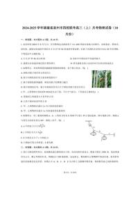 [物理]2024～2025学年福建省泉州市四校联考高三(上)月考试卷(10月份)(有答案)