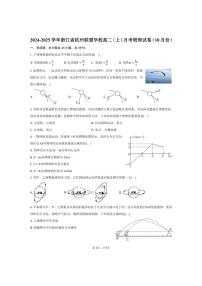 [物理]2024～2025学年浙江省杭州联盟学校高二(上)月考试卷(10月份)(有答案)