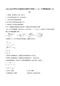 江苏省扬州市新华中学2024-2025学年高二上学期10月月考物理试卷