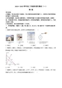 河南省部分学校2024-2025学年高二上学期10月月考物理试题Word版附解析