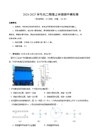 2024-2025学年高二上学期期中模拟考试物理（上海专用，沪科版2020必修第三册第9~11章）试卷（Word版附解析）