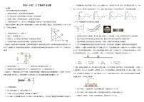 山东省滨州市阳信县第一中学2024-2025学年高二上学期10月阶段检测物理试题