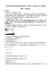 2025届黑龙江省绥化市绥棱县第一中学高三上学期10月月考试题 物理 （解析版）