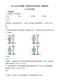 北京市育才学校2024-2025学年高二上学期10月月考物理试卷（Word版附解析）