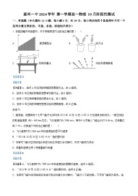 浙江省嘉兴市第一中学2024-2025学年高一上学期10月阶段性测试物理试卷（Word版附解析）