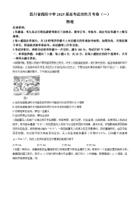 四川省绵阳市绵阳中学2024-2025学年高三上学期适应性月考物理试题（一）