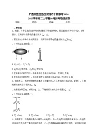 广西壮族自治区河池市十校联考2024-2025学年高二上学期10月月考物理试卷(含答案)