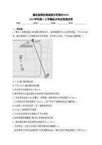 湖北省鄂东南省级示范高中2024-2025学年高一上学期起点考试物理试卷(含答案)