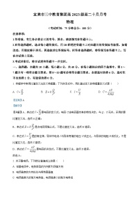 四川省宜宾市三中教育集团2024-2025学年高二上学期10月月考物理试卷（Word版附解析）