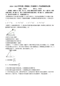 辽宁省大连市第二十四中学2024-2025学年高三上学期期中Ⅰ考试物理试卷（Word版附答案）