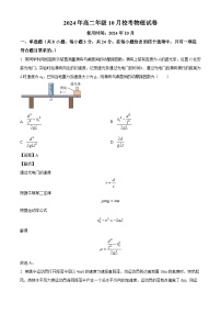 海南省海口市2024-2025学年高二上学期10 月月考物理试题（解析版）