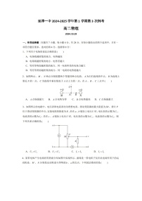 河南省新乡市延津县第一高级中学2024-2025学年高二上学期10月月考物理试题