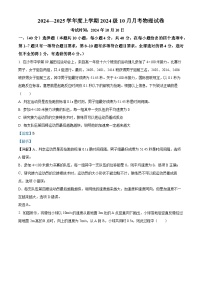 湖北省荆州市沙市中学2024-2025学年高一上学期10月月考物理试卷（Word版附解析）